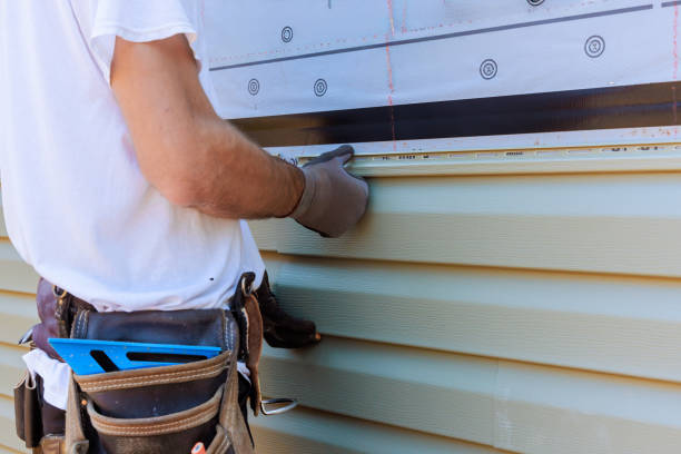 Best Insulated Siding Installation  in Willcox, AZ